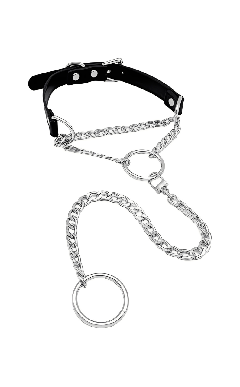 LoveChains™ - O - Kroužková otočná spona kožený obojek